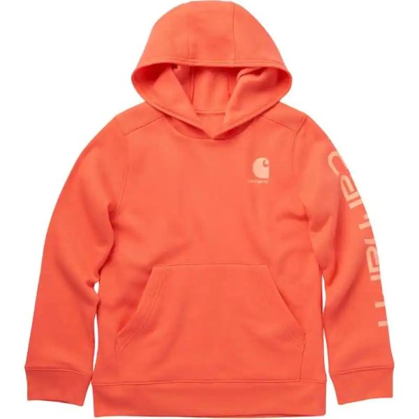 Fleece Logo Pullover Hoodie | 25% off Gifts for Everyone | Carhartt