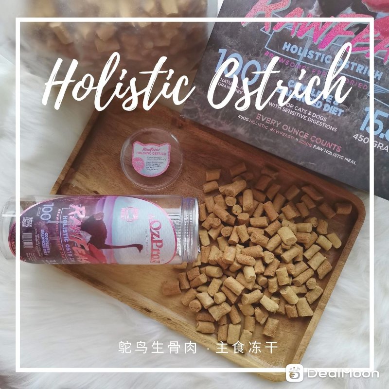 Holistic Ostrich (1).jpg