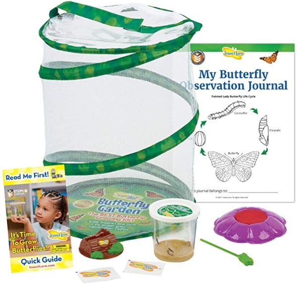 Insect Lore Butterfly Garden: Original Habitat and Live Cup of Caterpillars with STEM Butterfly Journal – Life Science & STEM Education – Butterfly Science Kit