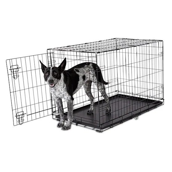 1-Door Folding Dog Crate, 36.5" L x 23.2" W x 24.7" H | Petco