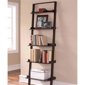 Leaning Ladder 5-Shelf Bookcase
