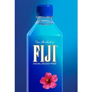 FIJI Natural Artesian Water, 16.9 Ounce Bottles (Pack of 24)