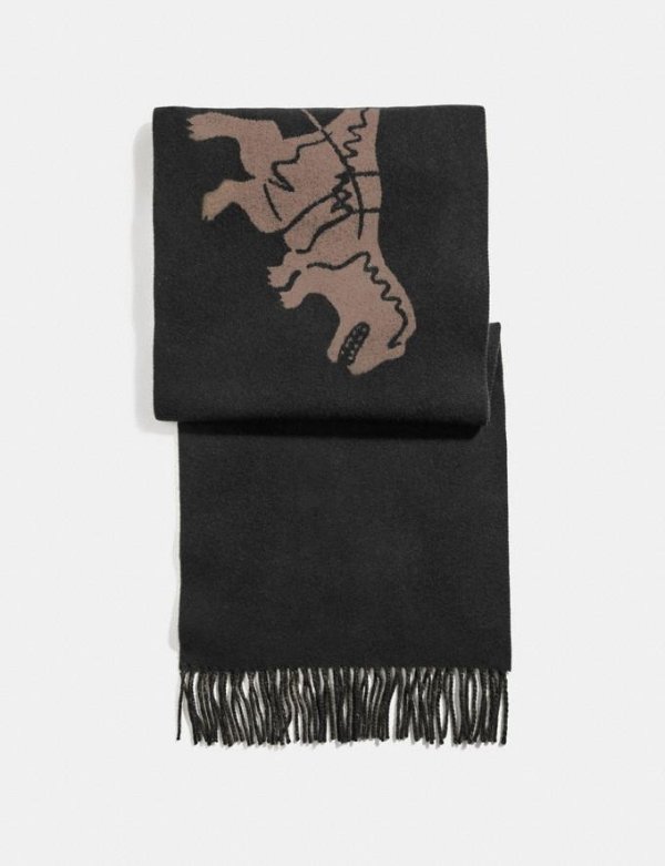 Rexy and Carriage Cashmere Scarf