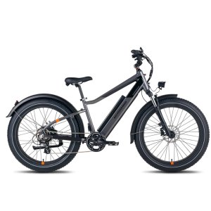 RadRover 6 Plus电动自行车 加胖轮胎 愉快的穿梭于城市中