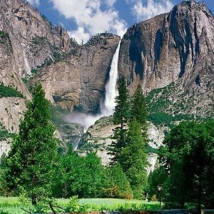 Yosemite One Way or Round Trip from San Francisco