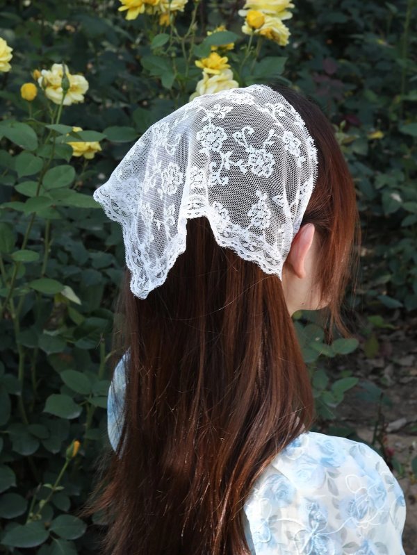 Floral Embroidered Lace Trim Hair Band