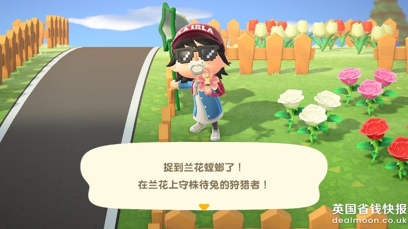 动物森友会 抓昆虫