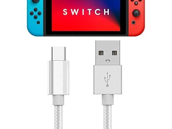 WORKS 6FT Nintendo Switch USB-C 数据线