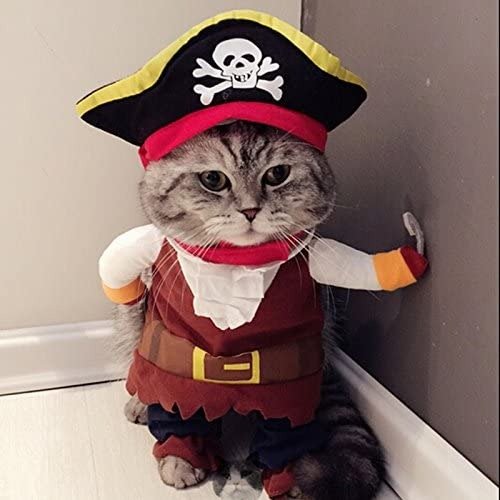 海贼王猫咪套装