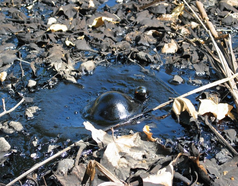 Tar-bubble-La-Brea-Pits-Calif-Los