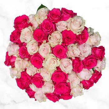 Valentine's Day Pre-Order 50-stem Hot Pink / Light Pink Roses