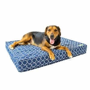 Orthopedic Dog Bed - 5" Thick Supportive Gel Enhanced Memory Foam