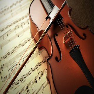 小果老师专业小提琴课 - Violin Lessons by Xiaoguo Burton - 芝加哥 - Glenview