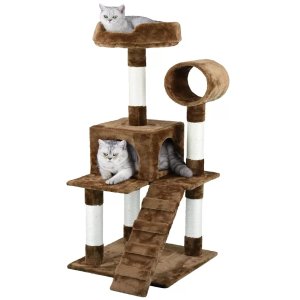 Pet Memorial Day Clearance