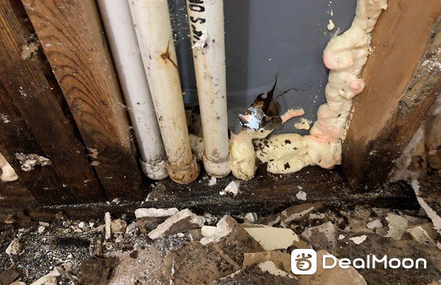 RepairFloors_07.jpg