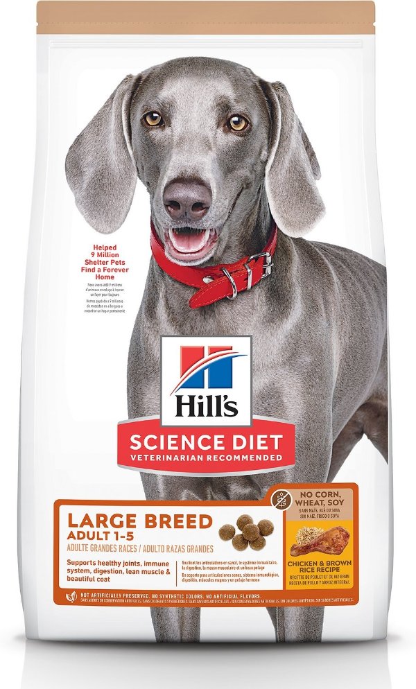 Adult 1-5 Large Breed Chicken & Brown Rice Recipe Dry Dog Food, 30-lb bag - Chewy.com