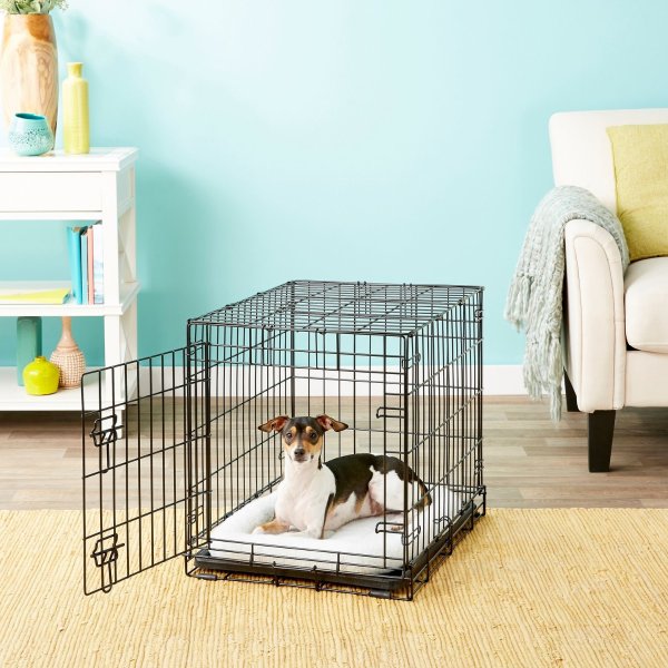 Heavy Duty Fold & Carry Single Door Collapsible Wire Dog Crate, 24-in - Chewy.com