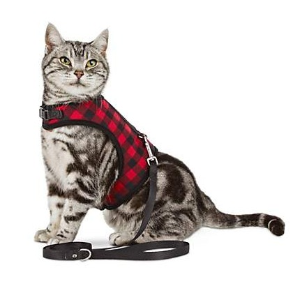 Petco Selected Cat Collars and Leashes on Sale