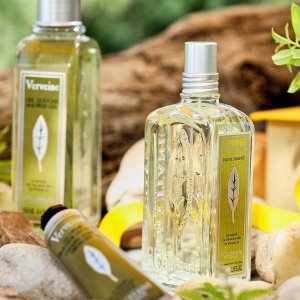 L'Occitane Body Care and Skincare Products Hot Sale