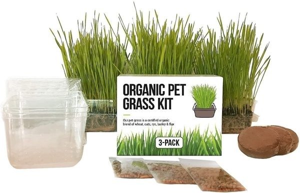 Organic Pet Grass Growing Kit with Containers, 3 count - Chewy.com