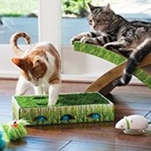 Petco 全场猫咪玩具热卖 低至$0.74