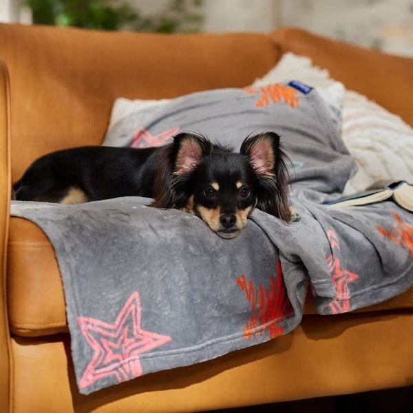 Plush Cat & Dog Throw Blanket