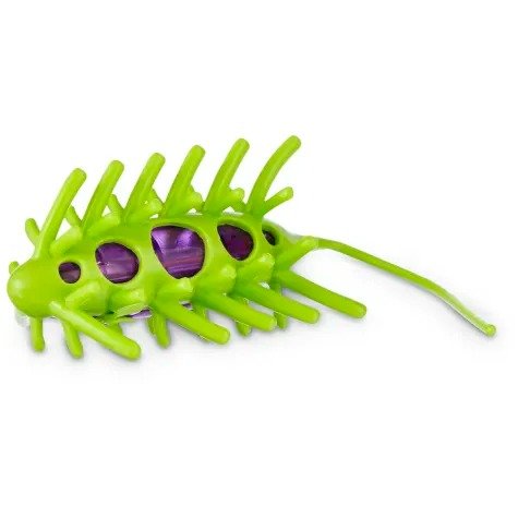 Wiggle Bug Cat Toy | Petco