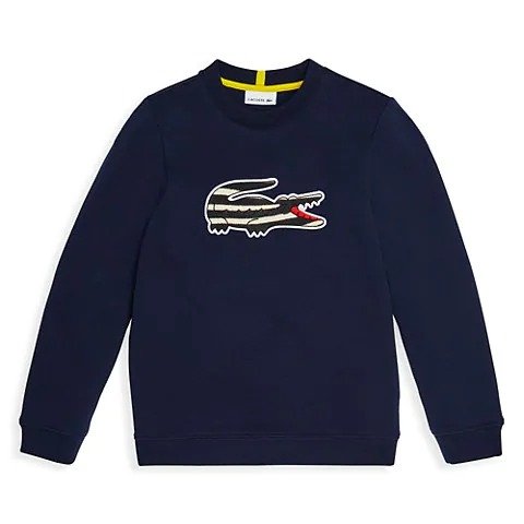 Little Boy's & Boy's National Geographic Crewneck Pullover