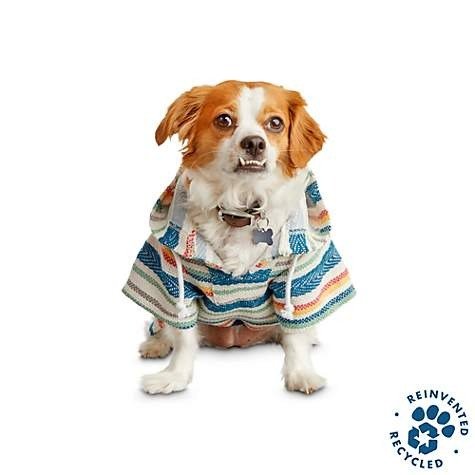 Recycled & Reinvented Baja Blue Hoodie for Dogs, X-Small | Petco