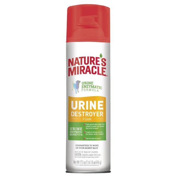 Urine Destroyer Stain & Odor Foam, 17.5 oz. | Petco