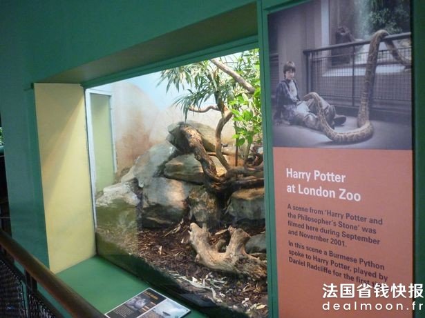 Harry-Potter-cZSLJPG