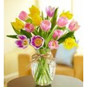 $10 off $50 or more + $10 1-800-Flowers gift card