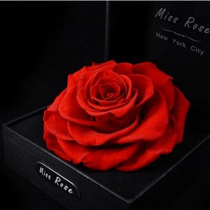 Miss Rose 永生花口红首饰盒 特价，大长盒鲜玫瑰 仅需$75