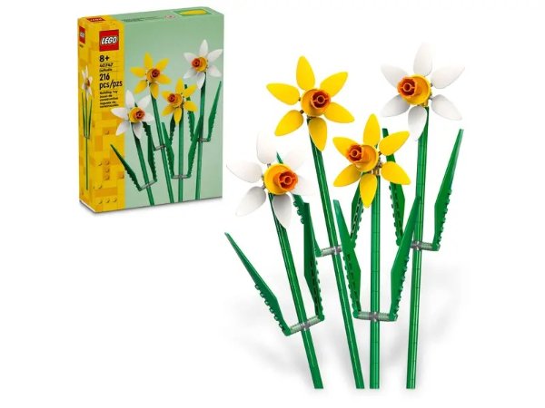 Daffodils 40747 