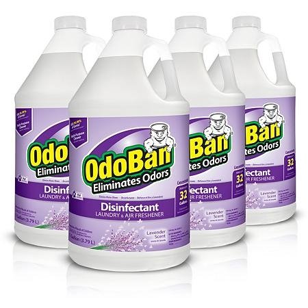 Odor Eliminator and Disinfectant Concentrate, Lavender Scent (4 ct.) - Sam's Club