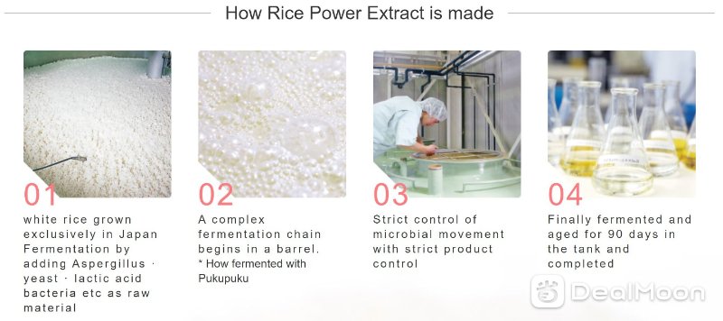 rice.JPG
