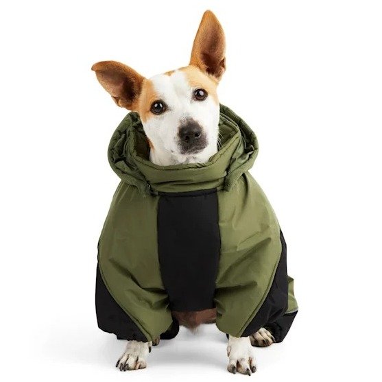 Reddy PrimaLoft Superior Insulation Olive Dog Snowsuit, XX-Small | Petco