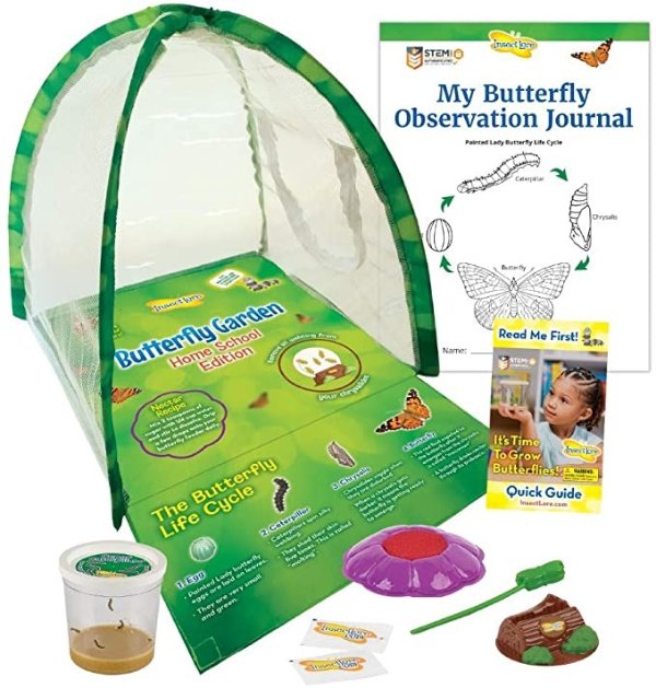 Lore Butterfly Garden Home School Edition with Live Caterpillars