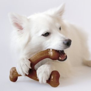 Chewy Select Dog Toys on Sale