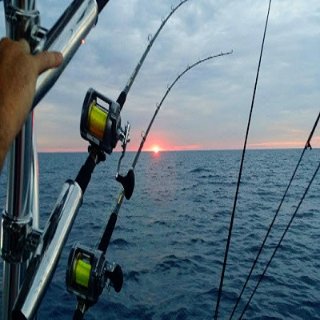 Brush and Roll Fishing Charters - 芝加哥 - Chicago