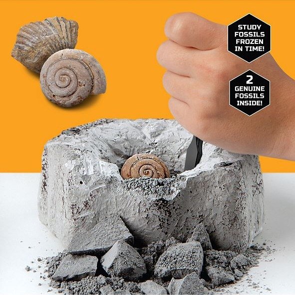 Toy Excavation Kit Mini Fossil, 2 Pieces