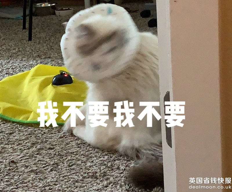 WeChat Image_20190905191813.jpg