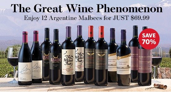 12瓶阿根廷马尔贝克葡萄酒