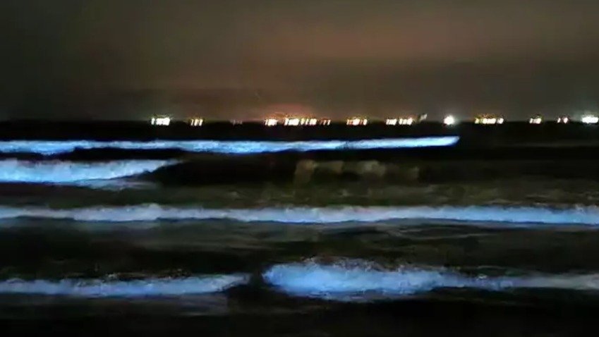 美哭！休斯顿附近惊现蓝色荧光海滩！游客：此生必观奇景