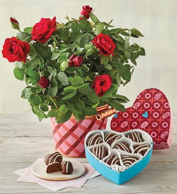 迷你红玫瑰和松露巧克力礼盒