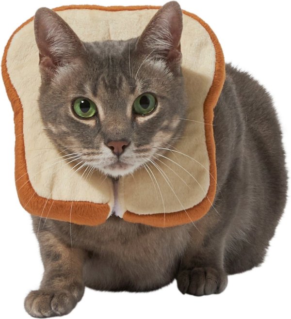 Bread Cat Costume, One Size - Chewy.com
