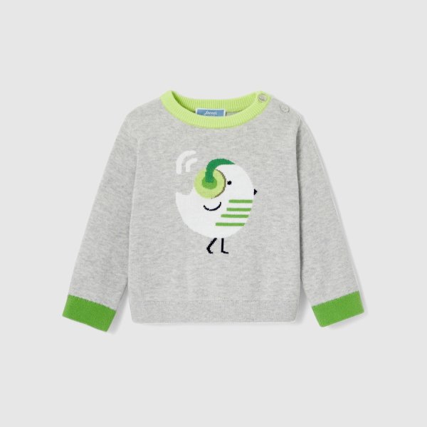 Baby boy intarsia bird sweater