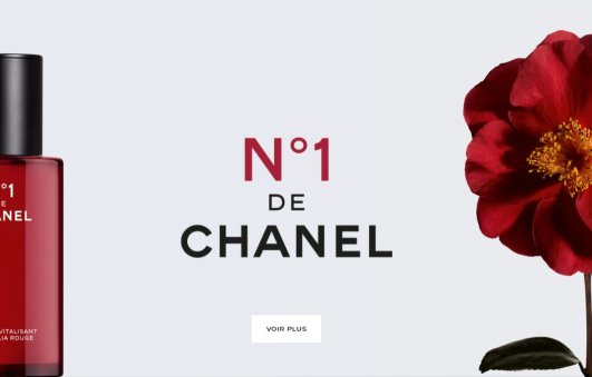 Chanel香奈儿 2022红山茶花系列开售！Chanel香奈儿 2022红山茶花系列开售！