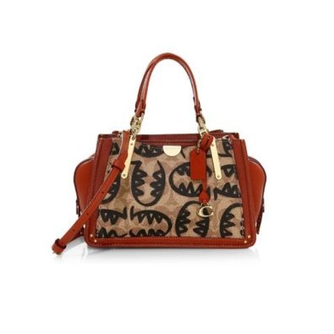 saks coach bags