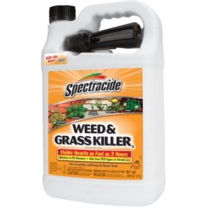 Spectracide Weed and Grass Ready-to-Use